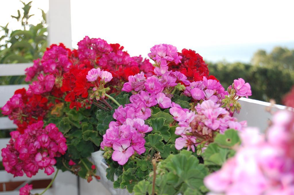 B&B H224 Reggio di Calabria Ngoại thất bức ảnh