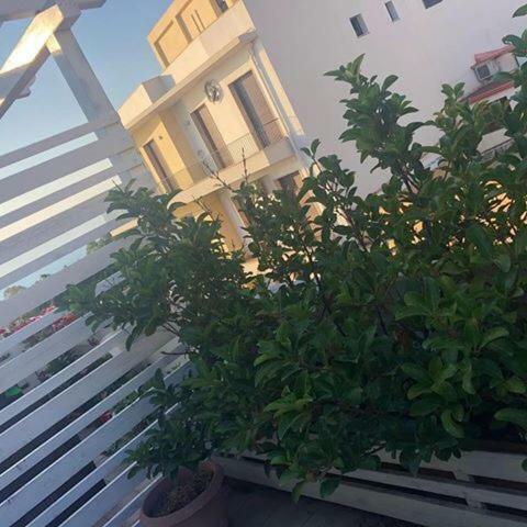 B&B H224 Reggio di Calabria Ngoại thất bức ảnh